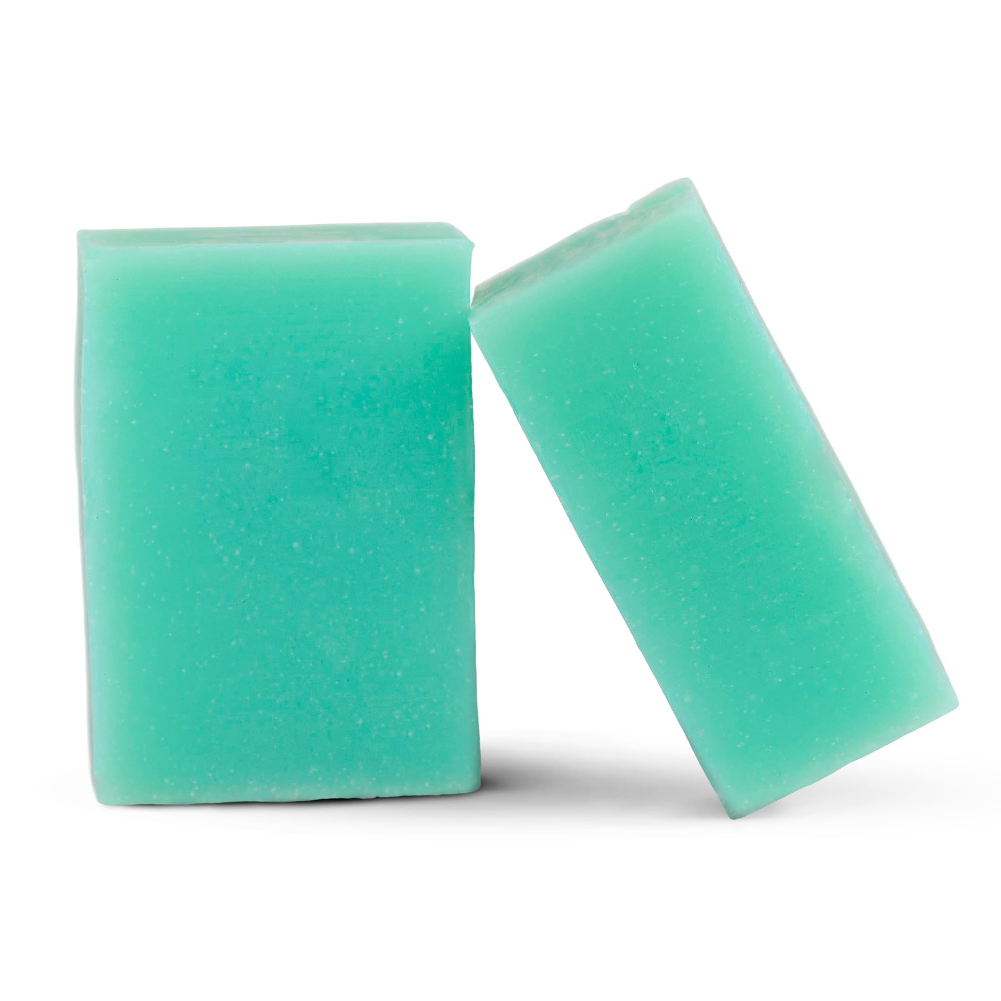 Big Crazy Buffalo Pure Bison Tallow Buff Shampoo Bar – Mountain Rain 2-Pack