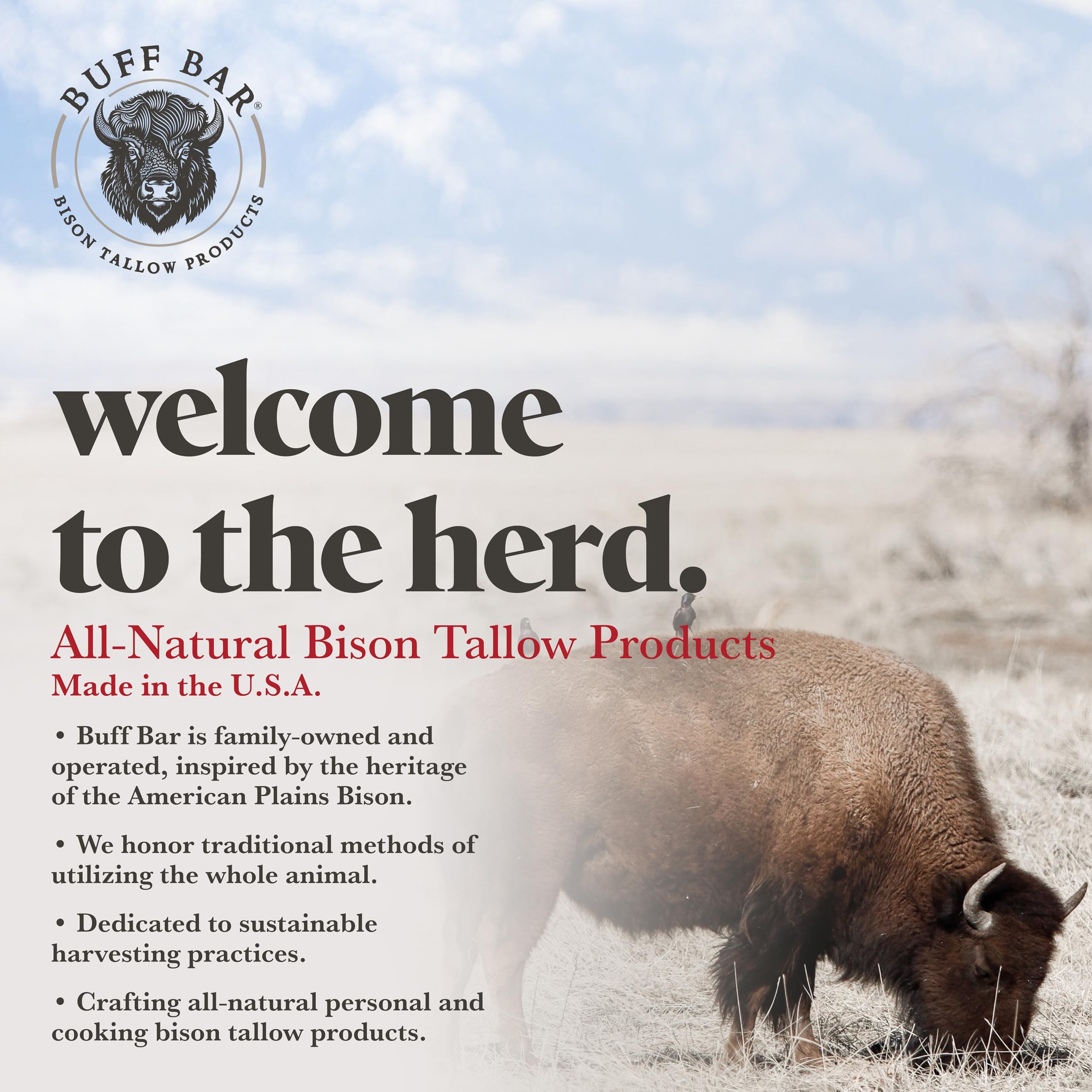 Big Crazy Buffalo BUFF BAR Bison Tallow Balm – Lavender Mint, 2 oz, 1 Pack | All-Purpose Hydration
