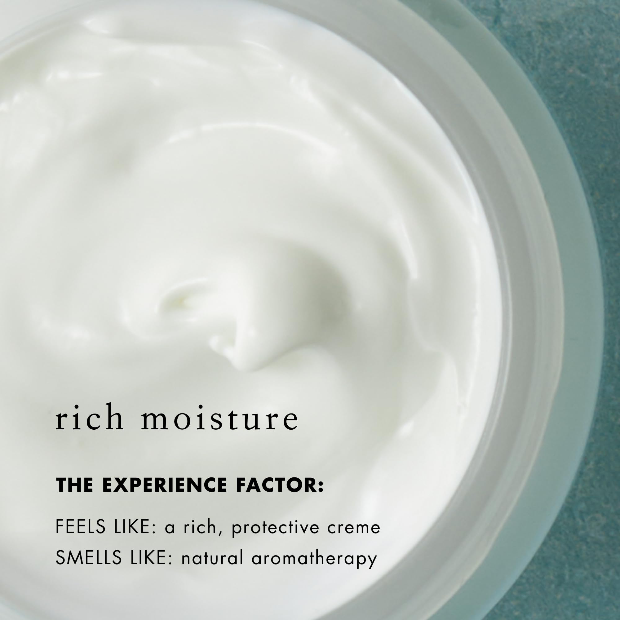 Bioelements FaceScreen SPF 50 – 2.3 oz | Antioxidant Broad-Spectrum Sunscreen Moisturizer | Vegan & Gluten-Free