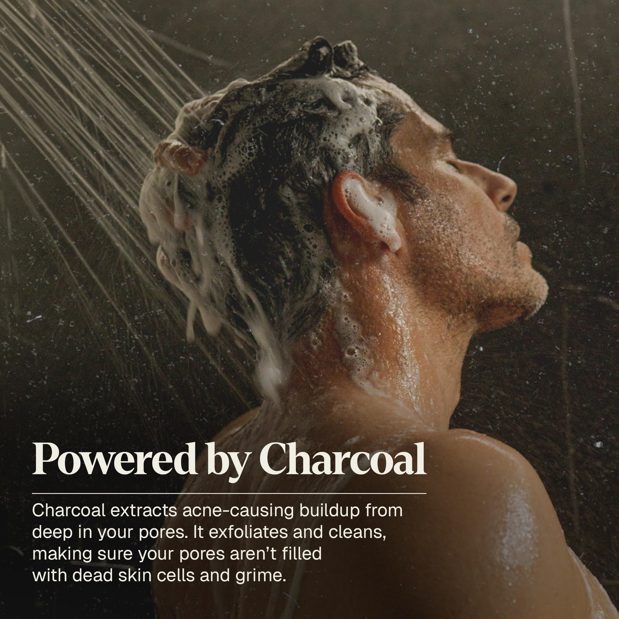 Black Wolf 2-Pack Shampoo for Oily Hair – Charcoal-Infused Oil Control, 12 oz