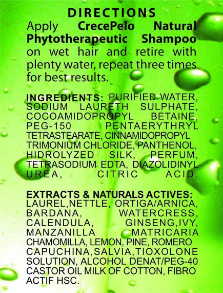 BOÉ COSMETICS Natural Hair Growth Duo – Phytotherapeutic Shampoo & Rinse Set – Plant-Based, Sulfate-Free – 12.5 oz Each