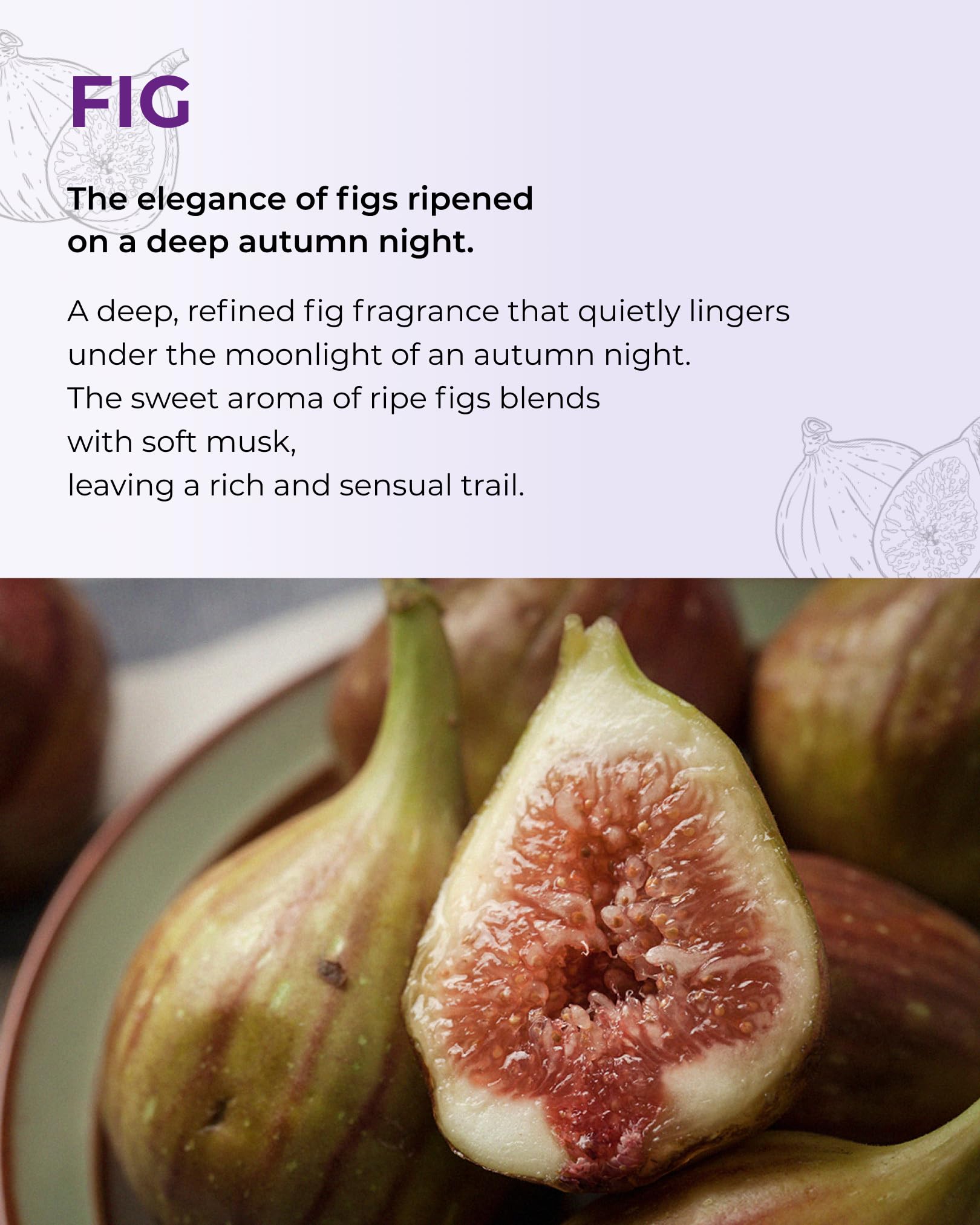 BOM Petit Fig Body Mist – Fig Scent, Hydration with Hyaluronic Acid, Niacinamide & Vitamin C