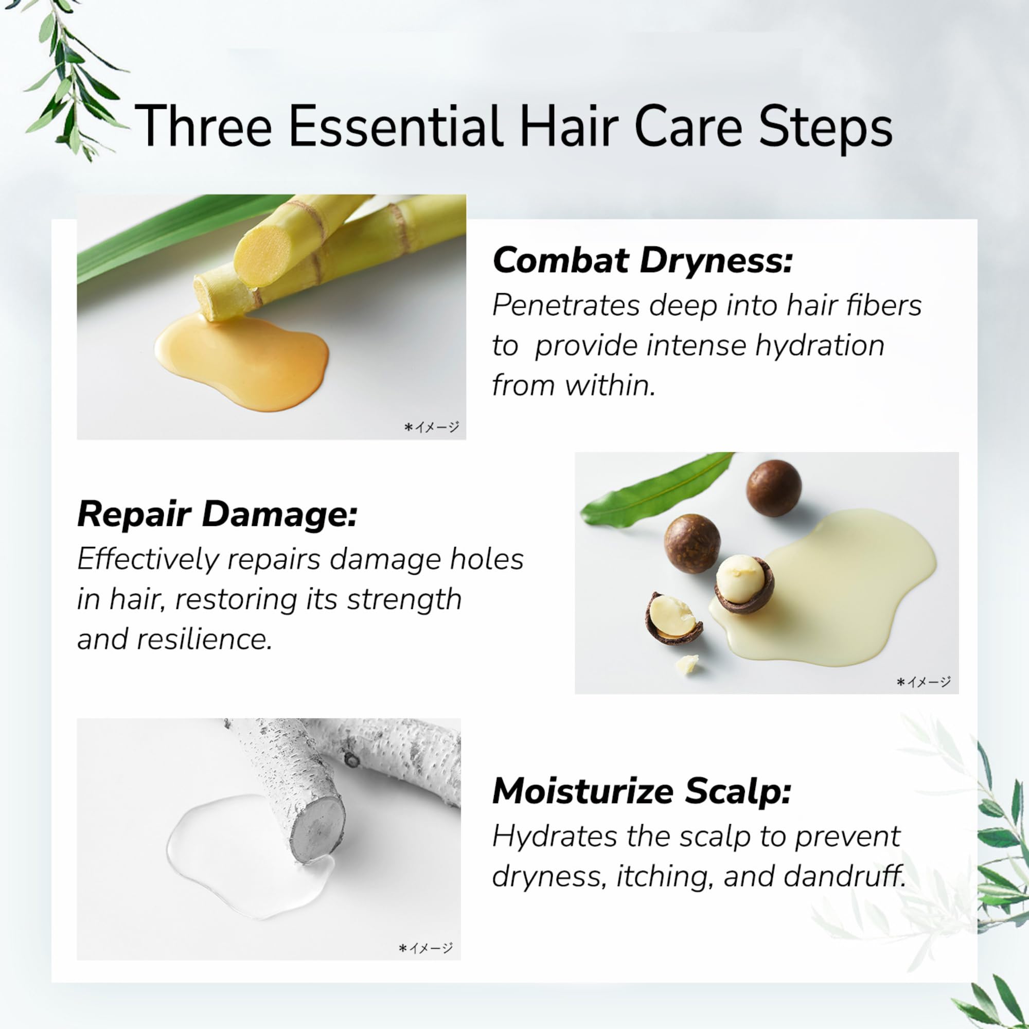 Botanist Organic Body Wash & Shampoo Set — Hydrating, Sulfate-Free, Japanese Keratin & Honey