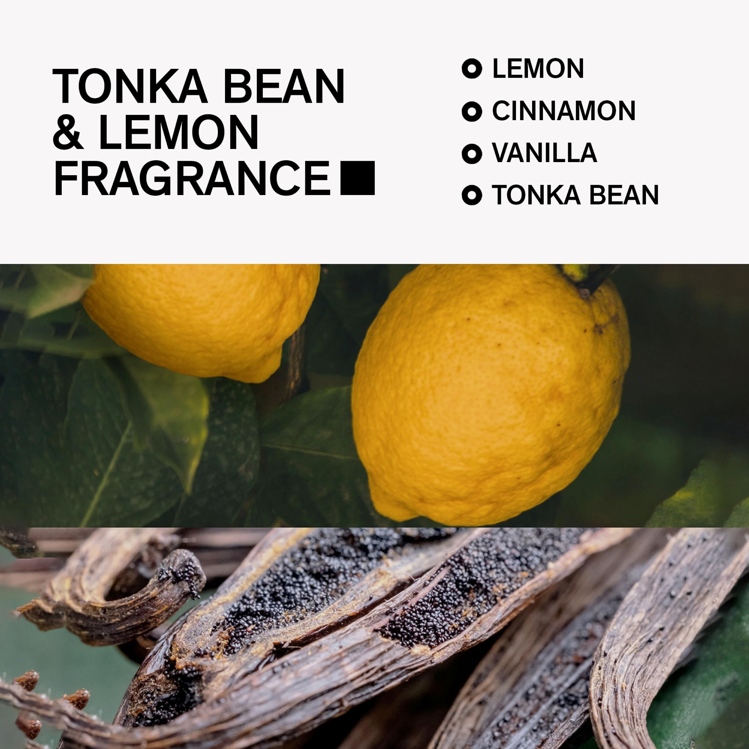 Bravo Sierra Aluminum-Free Deodorant for Men – Tonka Bean & Lemon, 3.2 oz