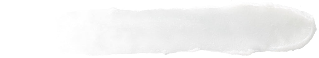 Burt's Bees Lip Balm Pack – Ultra Conditioning & Beeswax with Kokum & Shea Butter, 4 Tubes (0.15 oz)