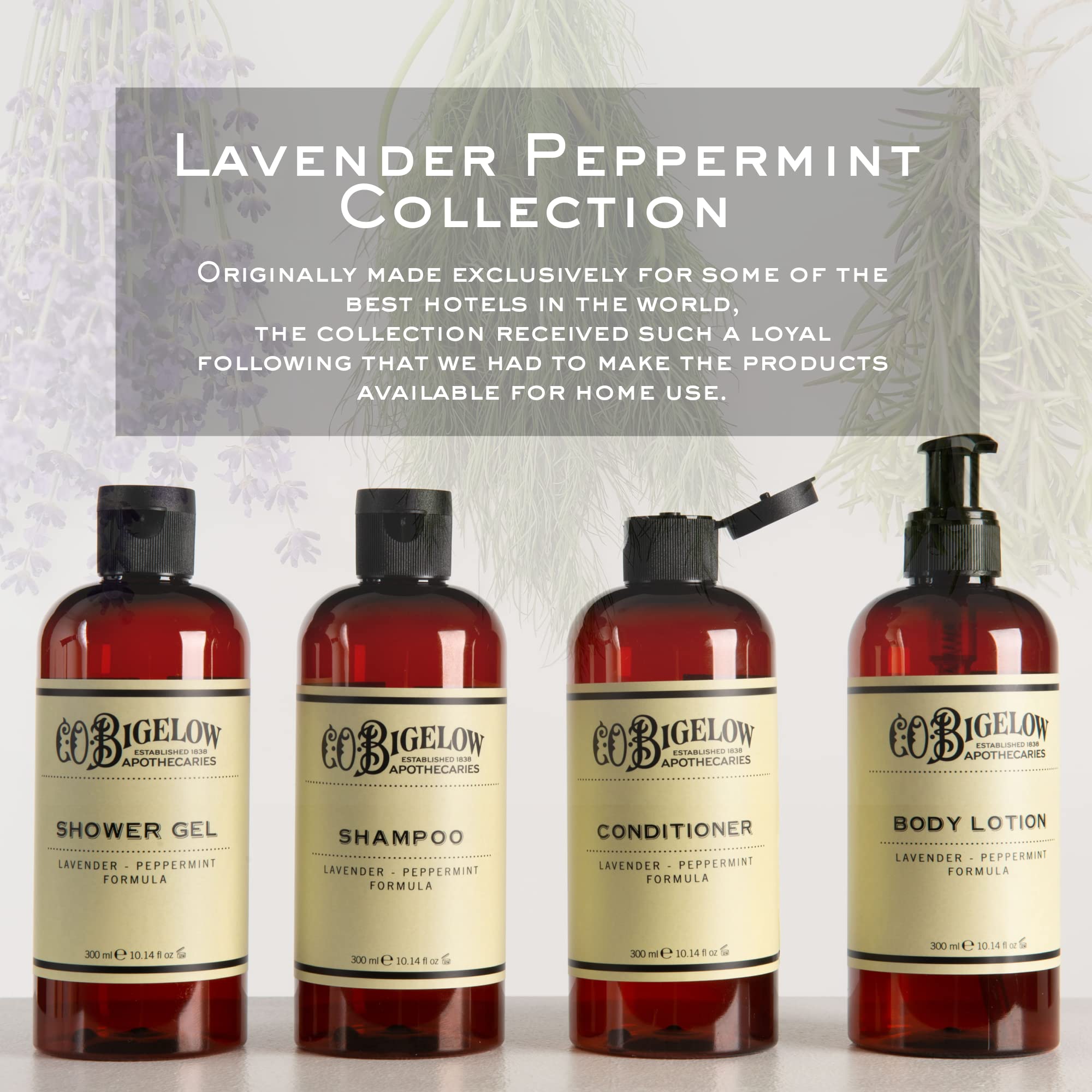 C.O. Bigelow Lavender Peppermint Shampoo – Sulfate Free, 10.4 Fl Oz