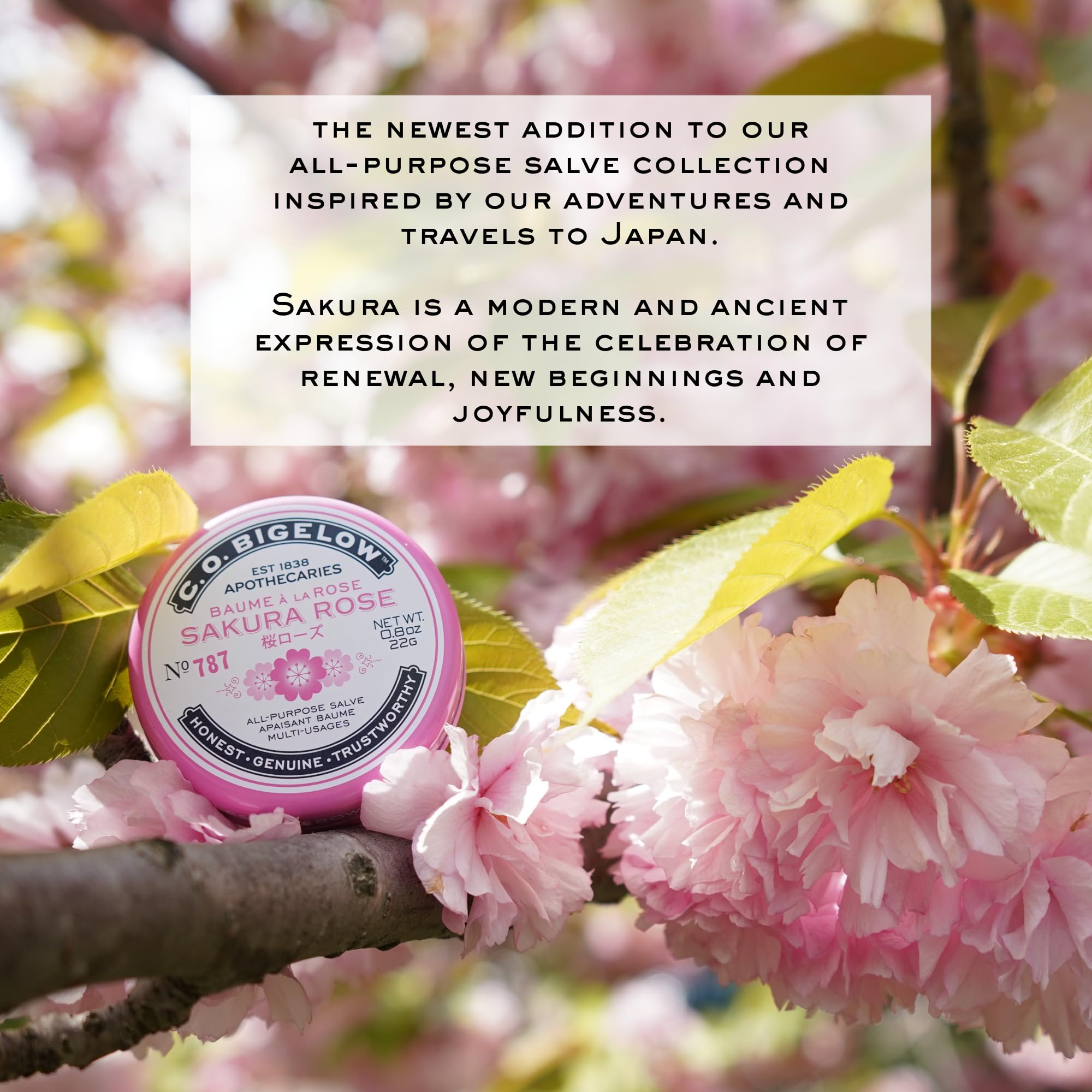 C.O. Bigelow Sakura Rose Salve Tins — 3-Pack Lip & Skin Salve