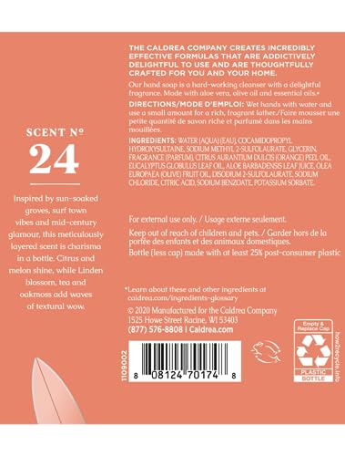 Caldrea Tangelo Palm Frond Hand Soap Refill – Aloe Vera, Olive Oil & Essential Oils, 32 oz