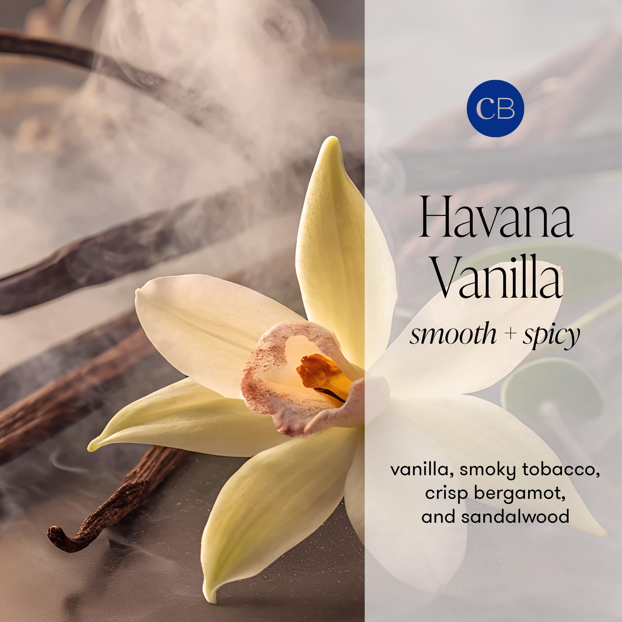 Capri Blue Havana Vanilla Flora Edit Travel-Size Hand Creams – 2-Pack with Jojoba & Shea