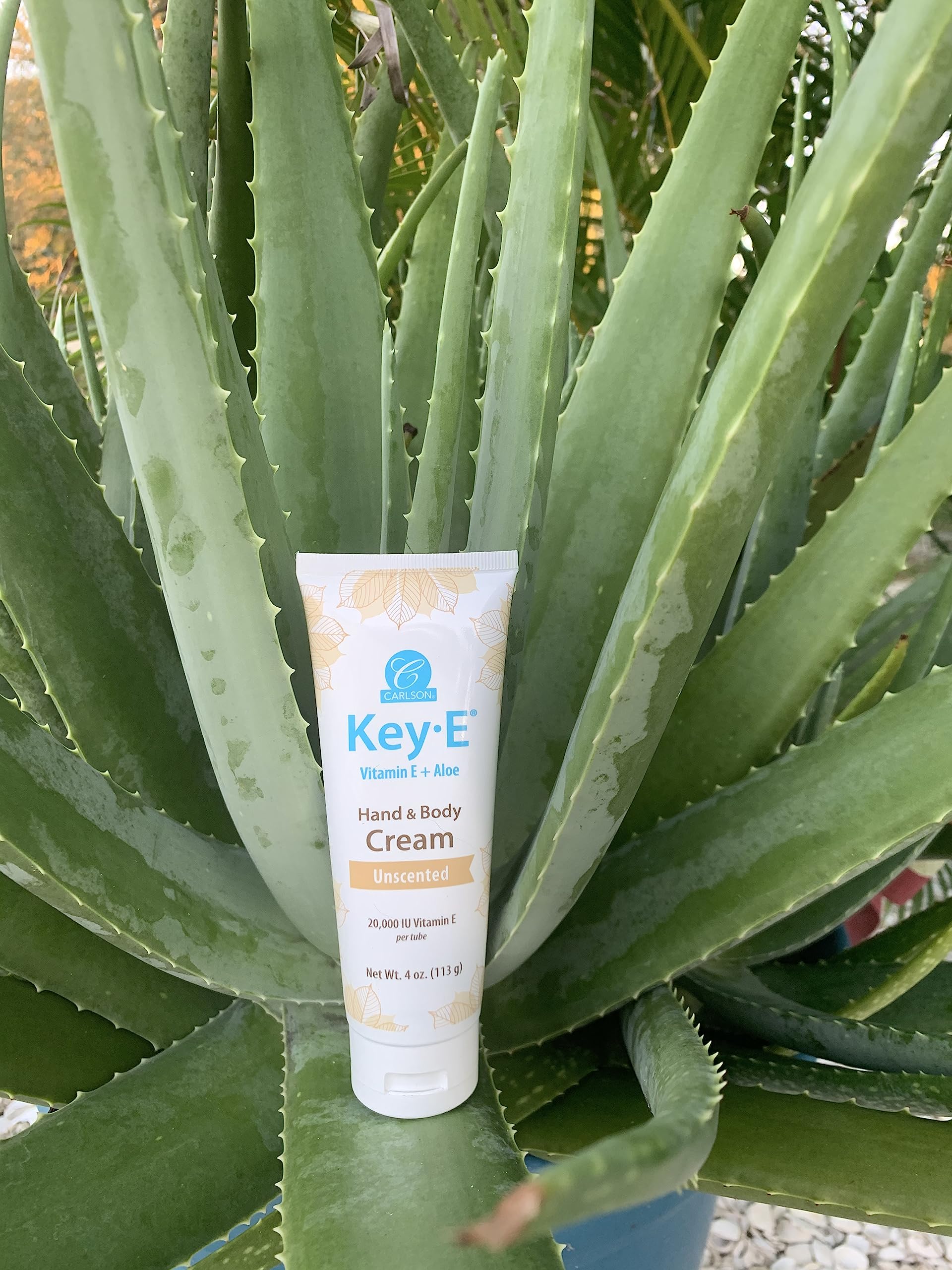 Carlson Key-E Hand & Body Cream – Vitamin E 20,000 IU & Organic Aloe, Fragrance-Free, 4 oz (Pack of 2)
