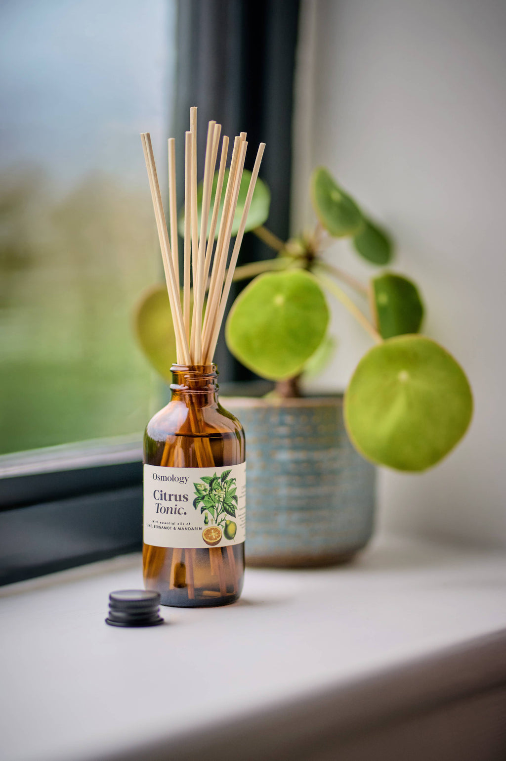 Citrus Tonic Reed Diffuser Refill + Free Reeds