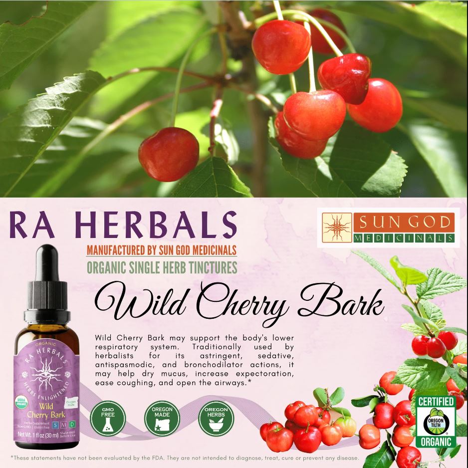 Organic Wild Cherry Bark Tincture - COUGHS, COLDS & CHEST INFECTIONS