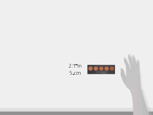 Cinema Secrets Ultimate Foundation 5-in-1 Palette – Med-Deep Pink-Beige Undertones | Buildable, Long-Wear Matte, Paraben-Free