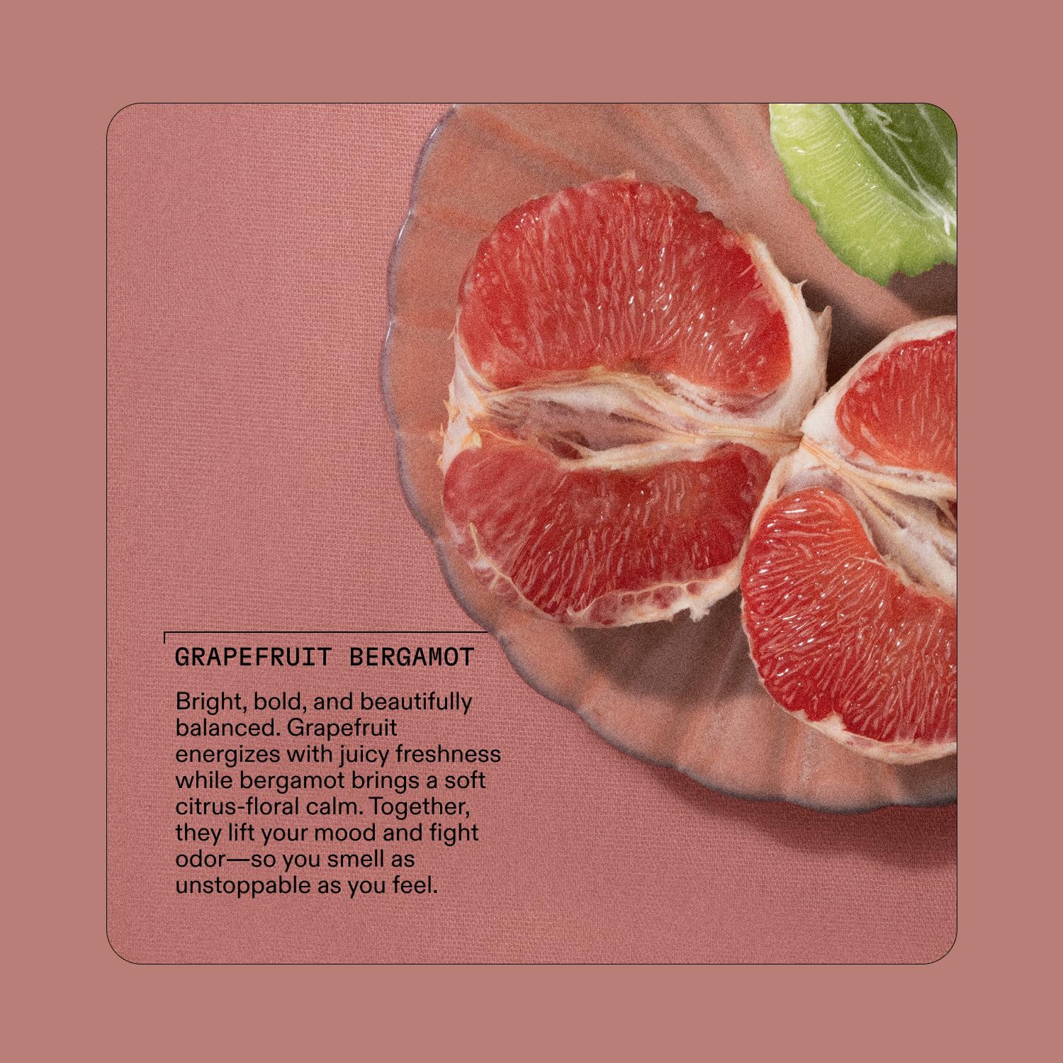 Cleo + Coco Extra Strength Deodorant Balm Grapefruit Bergamot 2-Pack, Aluminum-Free, Vegan