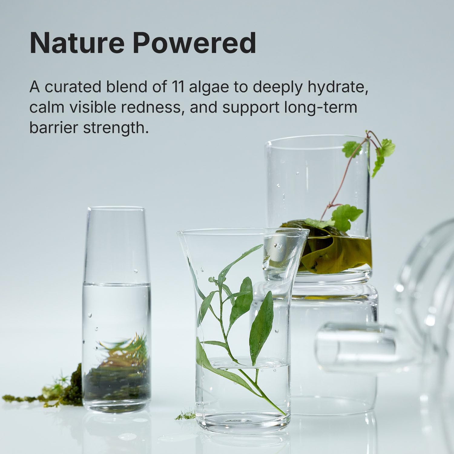 Coeternal Deep Moisture Serum — Hydrating Algae11 Serum with Niacinamide & Arginine, Fragrance-Free, 50ml