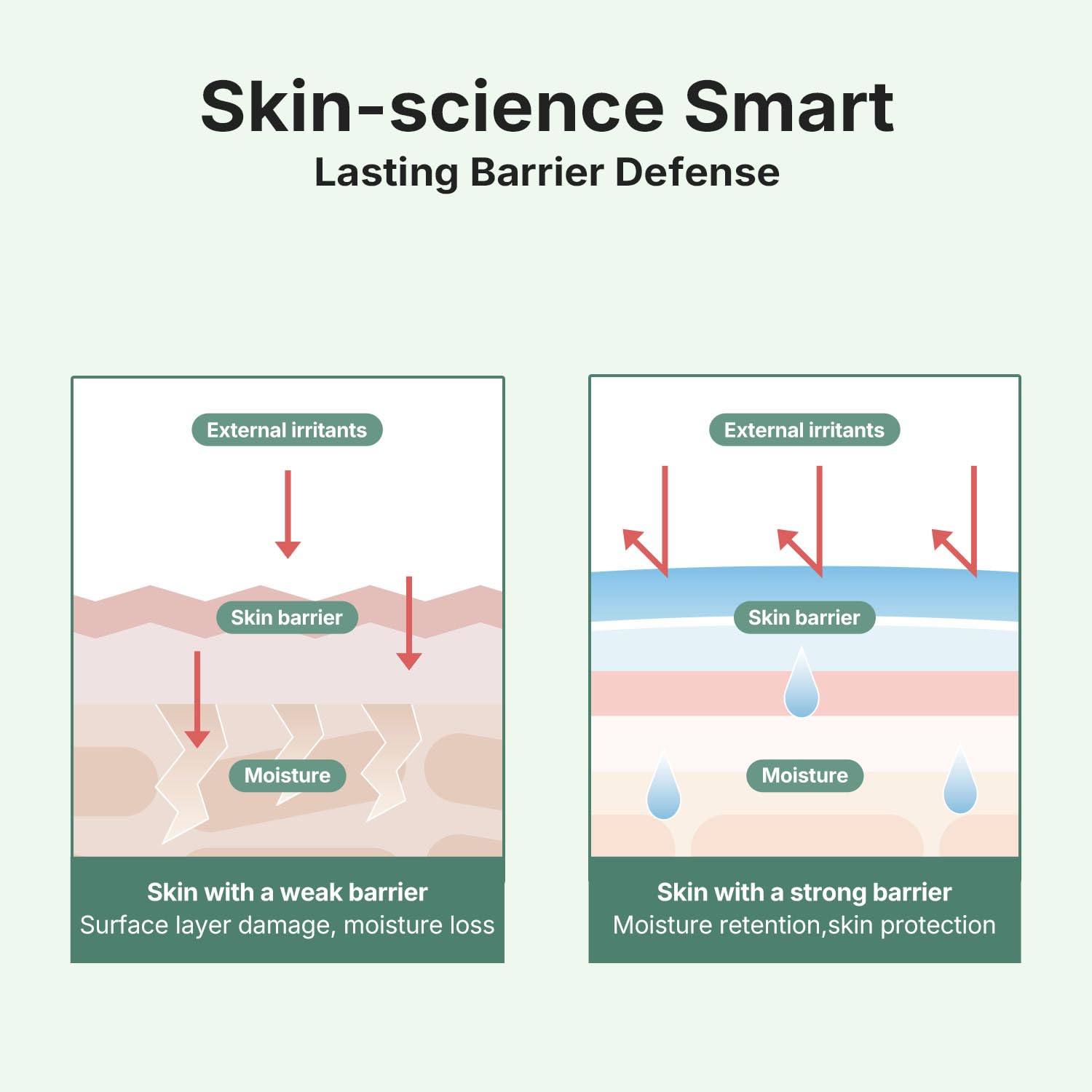 coeternal Ultra Intensive Cream | Hydrating Korean Moisturizer with Niacinamide & Algae11