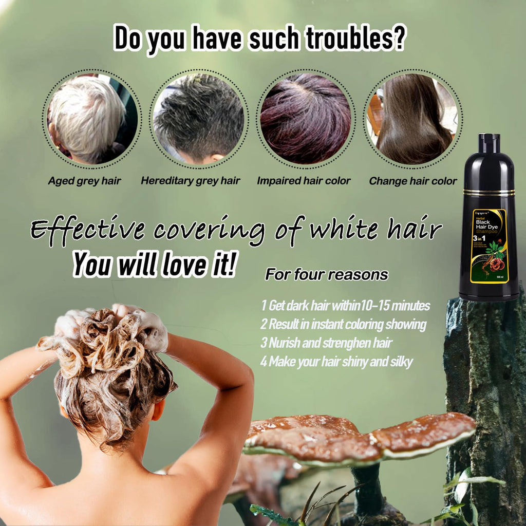 Dapoprren Black Hair Dye Shampoo 3-in-1 – Gray Coverage, Natural, Ammonia-Free