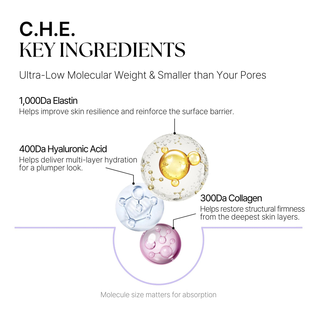DaseuL’ C.H.E. Meltin Shell Overnight Mask – Built-In Brush, Ultra-Low Molecular Collagen & Hyaluronic Acid
