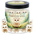 DEARMINE Positive Owl Jar with 60 Affirmation Cards – Daily Encouragement & Emotional Support for Women