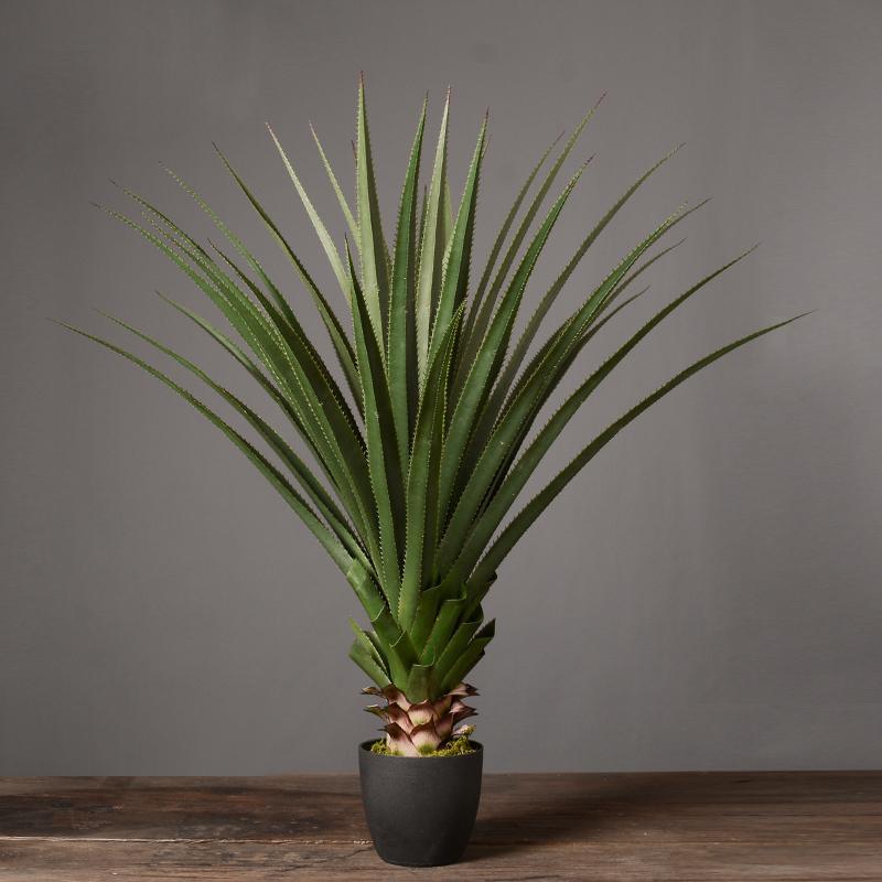 Decoration: Artificial Plant