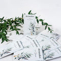Dermaka Skin Repair Cream Packets (25 x 5ml) – Non-Greasy Hydration with Arnica Montana & Vitamins A & E