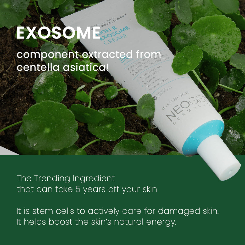 NEOGEN by DERMALOGY High R Exosome Cream – Hydrating Hyaluronic Acid, Peptides & Resveratrol