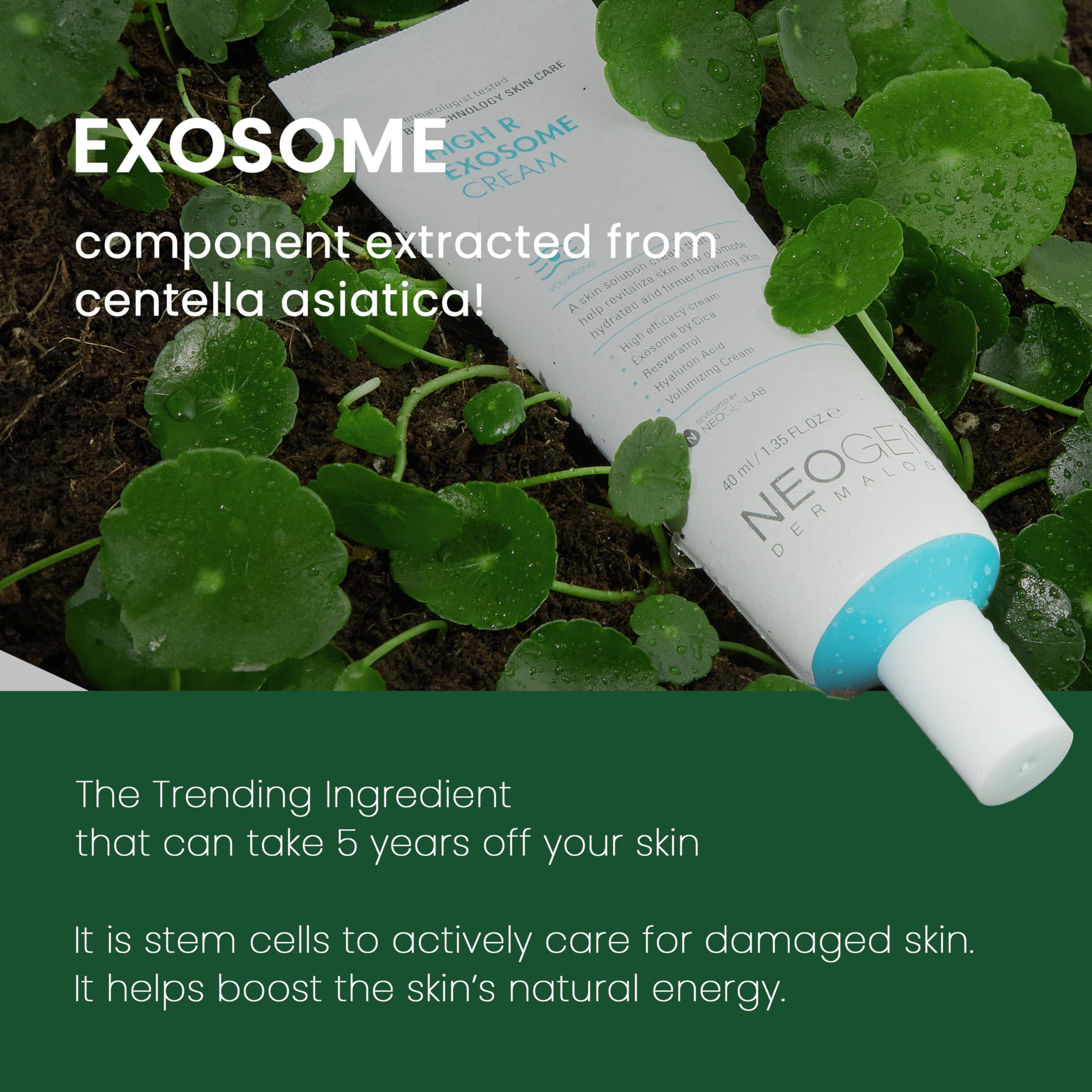 NEOGEN by DERMALOGY High R Exosome Cream – Hydrating Hyaluronic Acid, Peptides & Resveratrol