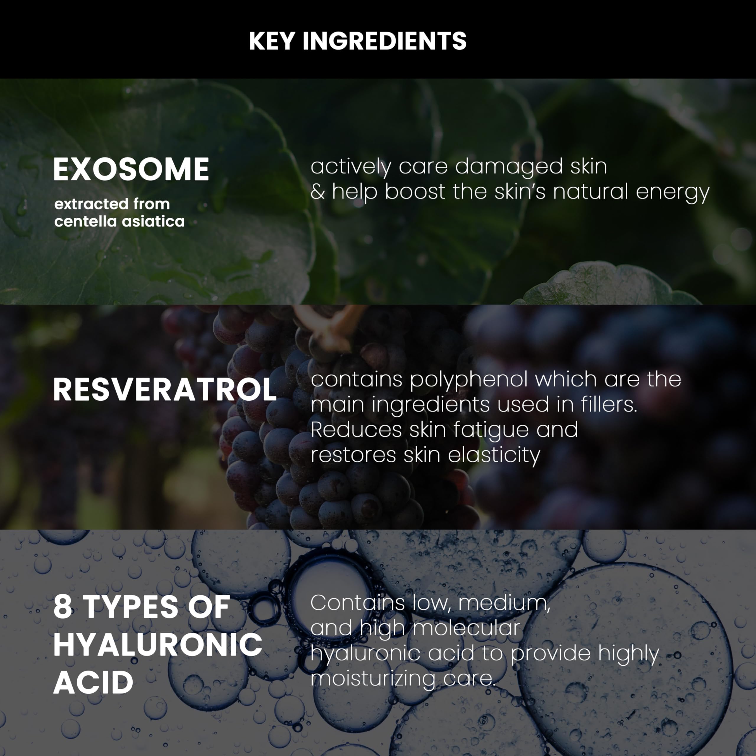 NEOGEN by DERMALOGY High R Exosome Cream – Hydrating Hyaluronic Acid, Peptides & Resveratrol
