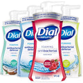 Dial Foaming Hand Wash Variety Pack – 4 x 10 oz Bottles (Coconut Water, White Tea, Power Berries, Spring Water)