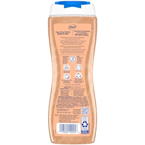 Dial Body Wash Pamper & Indulge Silk & Seaberry 4-Pack, 21 fl oz Each
