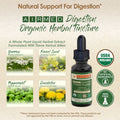 ORGANIC DIGESTION Herbal Tincture - Support your Natural Digestive Efficiency