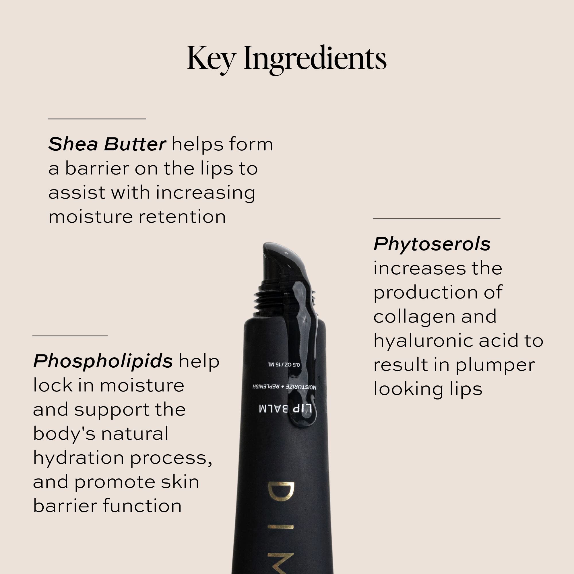 DIME Beauty Lip Balm – Hydrating Lip Care, Vegan & Cruelty-Free, 0.5 oz / 15 ml