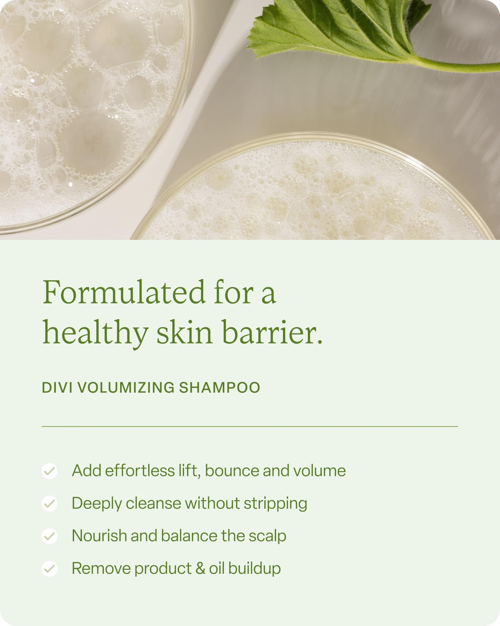 Divi Healthy Hair Goals Bundle | Volumizing Shampoo, Conditioner & Scalp Serum