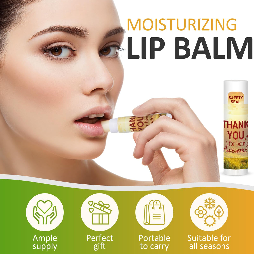 DMSKY Appreciation Gifts Lip Balm Bulk – 60 Pcs Thank You Gifts for Co-workers & Teachers