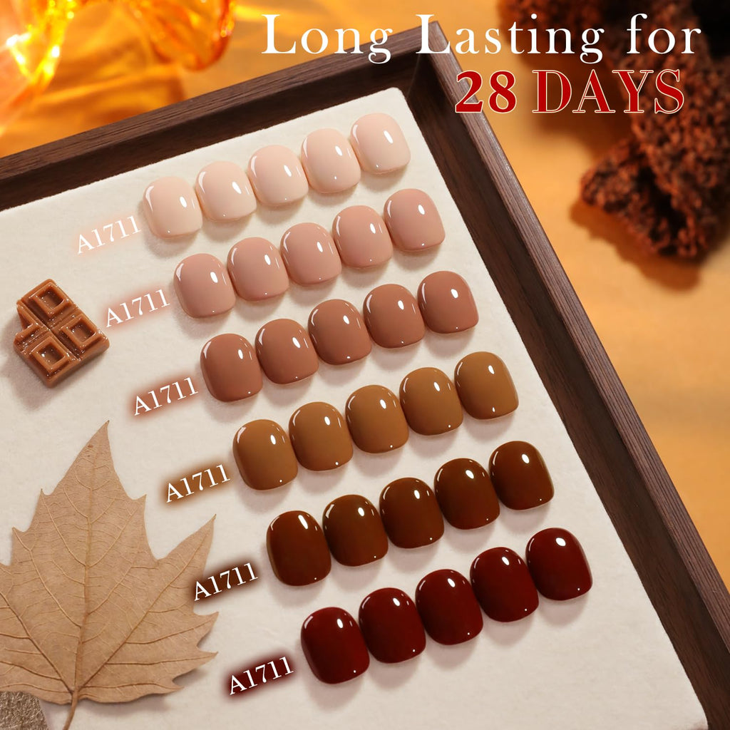 Double Rhythm 6 Pcs 15ml Gel Polish Set – Burgundy Cherry Brown Coffee (T6-69) – Soak-Off Nail Polish