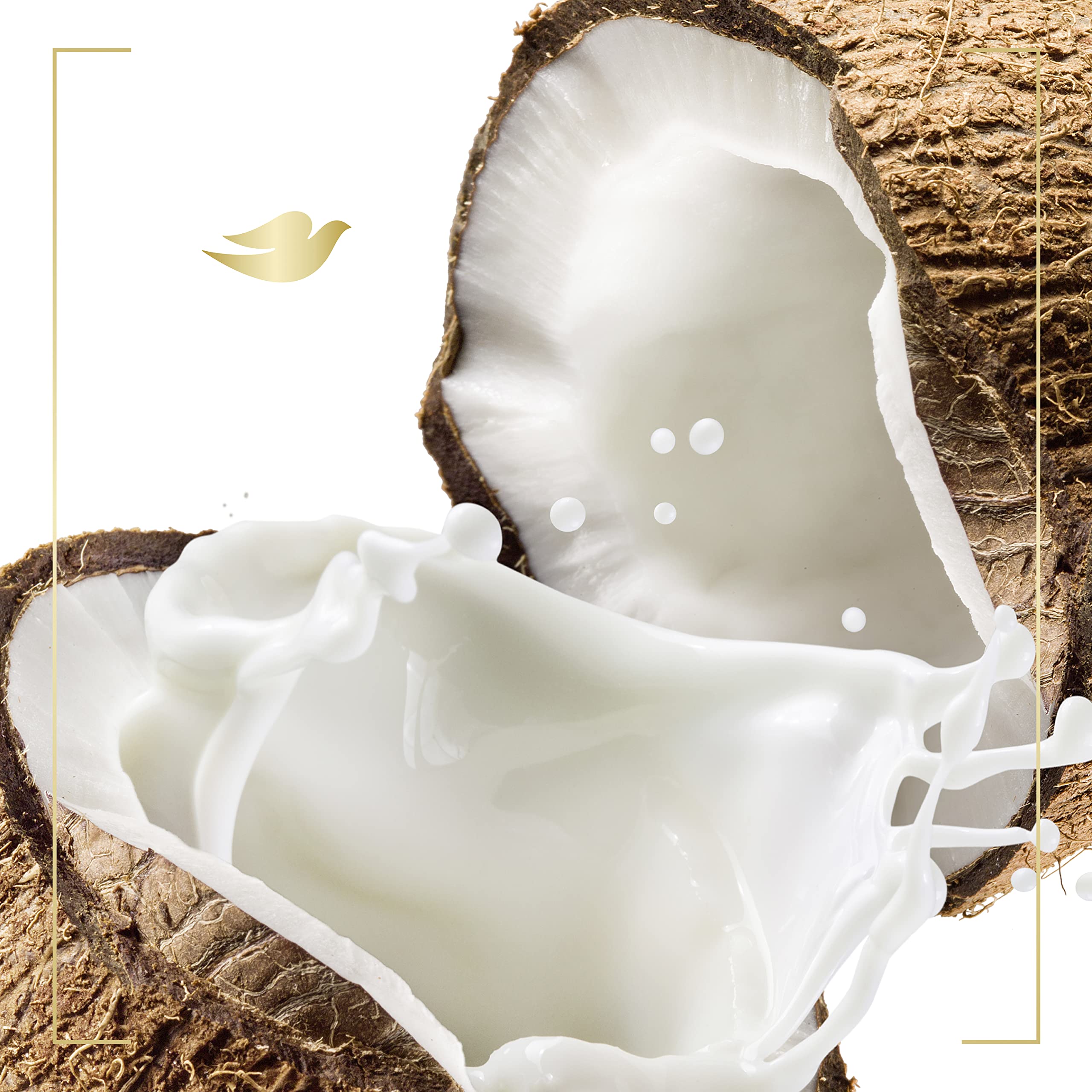 Dove Purely Pampering Body Wash for Dry Skin – Coconut Butter & Cocoa Butter, 22 oz (4 Count)