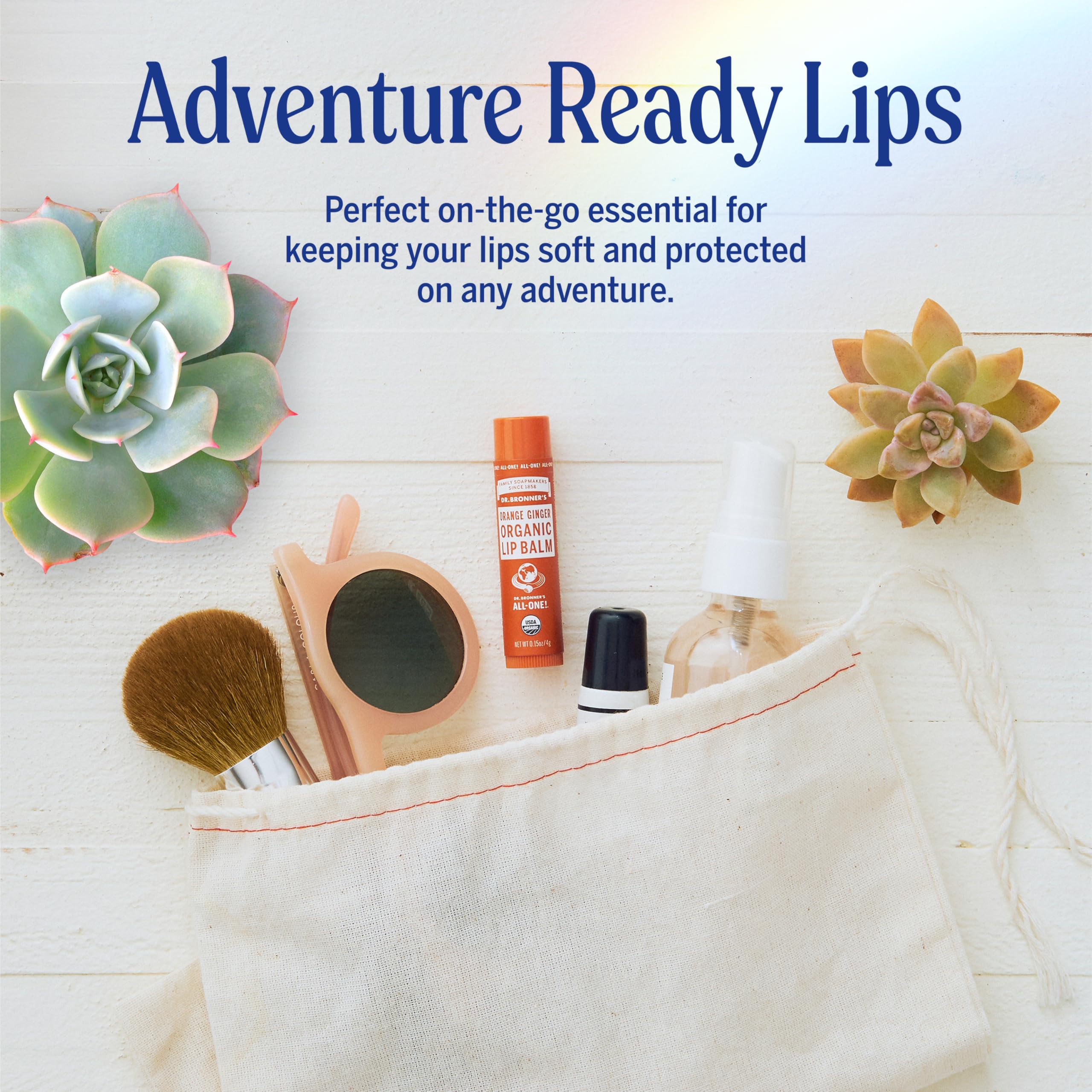 Dr. Bronner’s Organic Lip Balm 6-Pack (0.15oz) – Natural, Petroleum-Free Lip Care, Orange Ginger