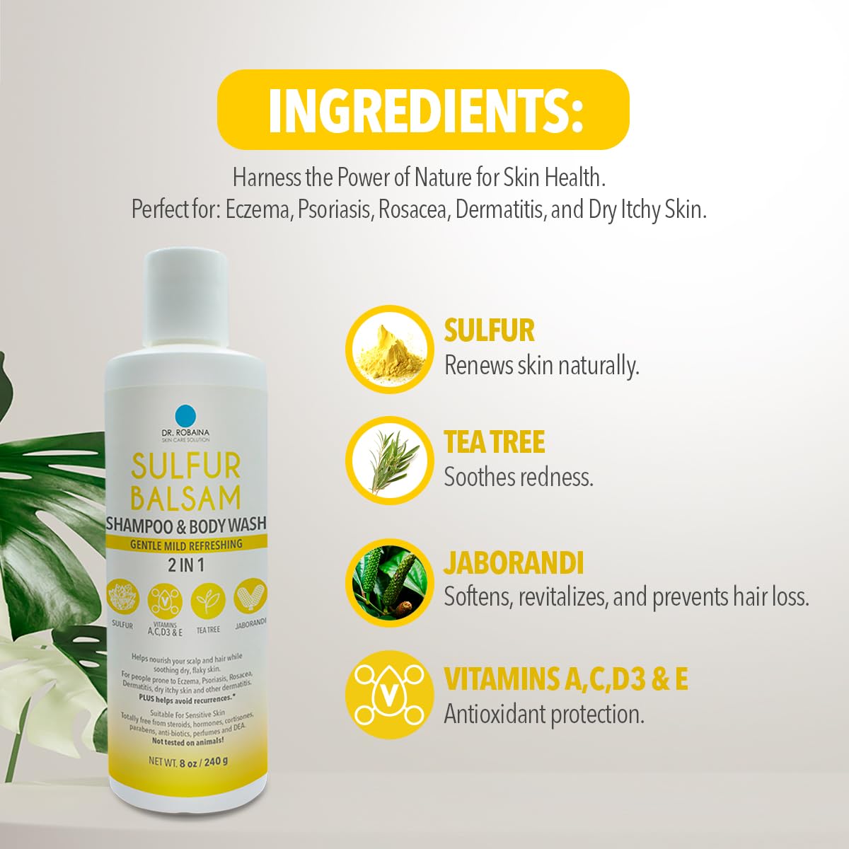 Dr. Robaina Sulfur Shampoo & Body Wash – Color-Safe, SLS-Free, Citrus-Mint, 8 fl oz – Made in USA