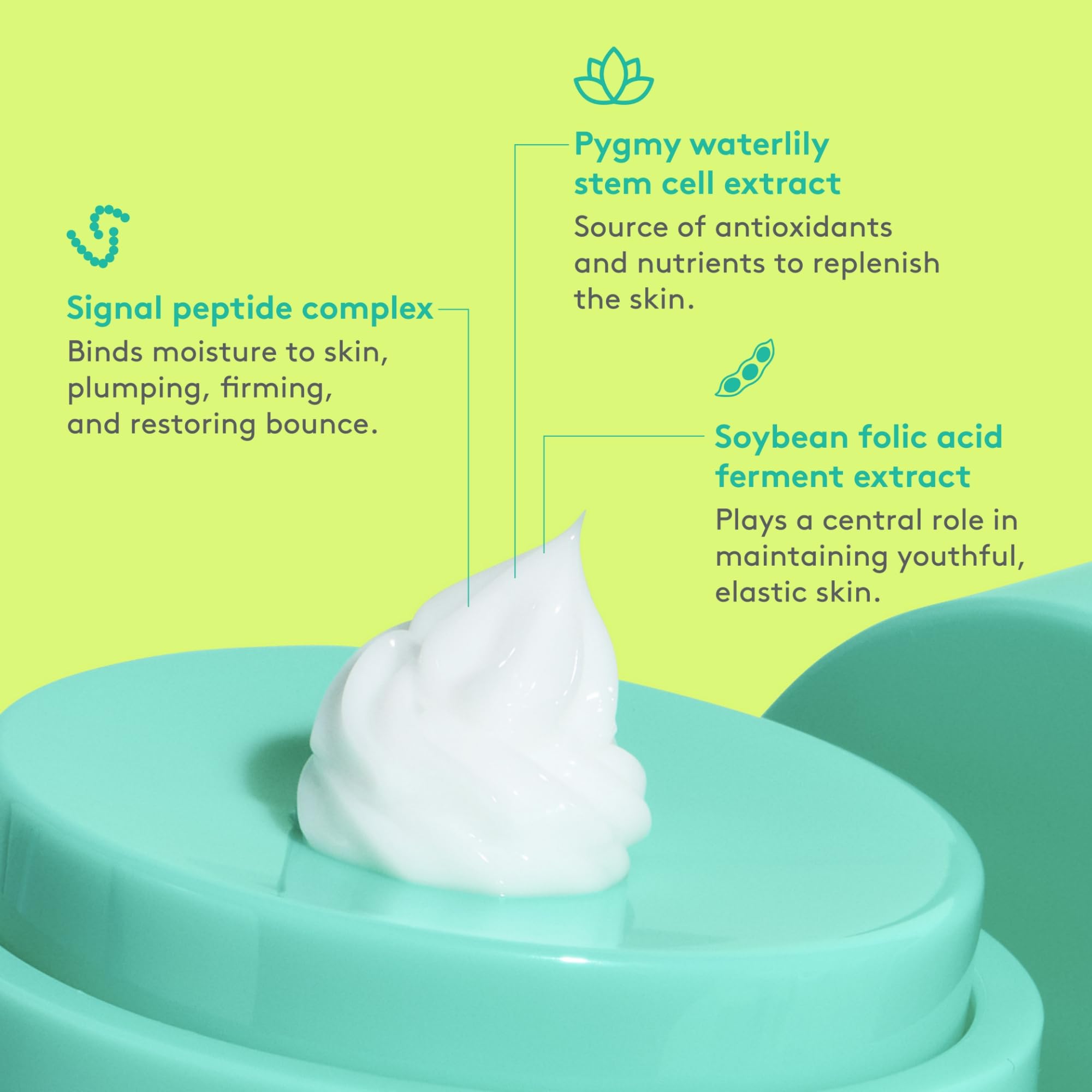 Drunk Elephant Protini Polypeptide Cream – 50 ml | Firming Moisturizer + B-Goldi Sample
