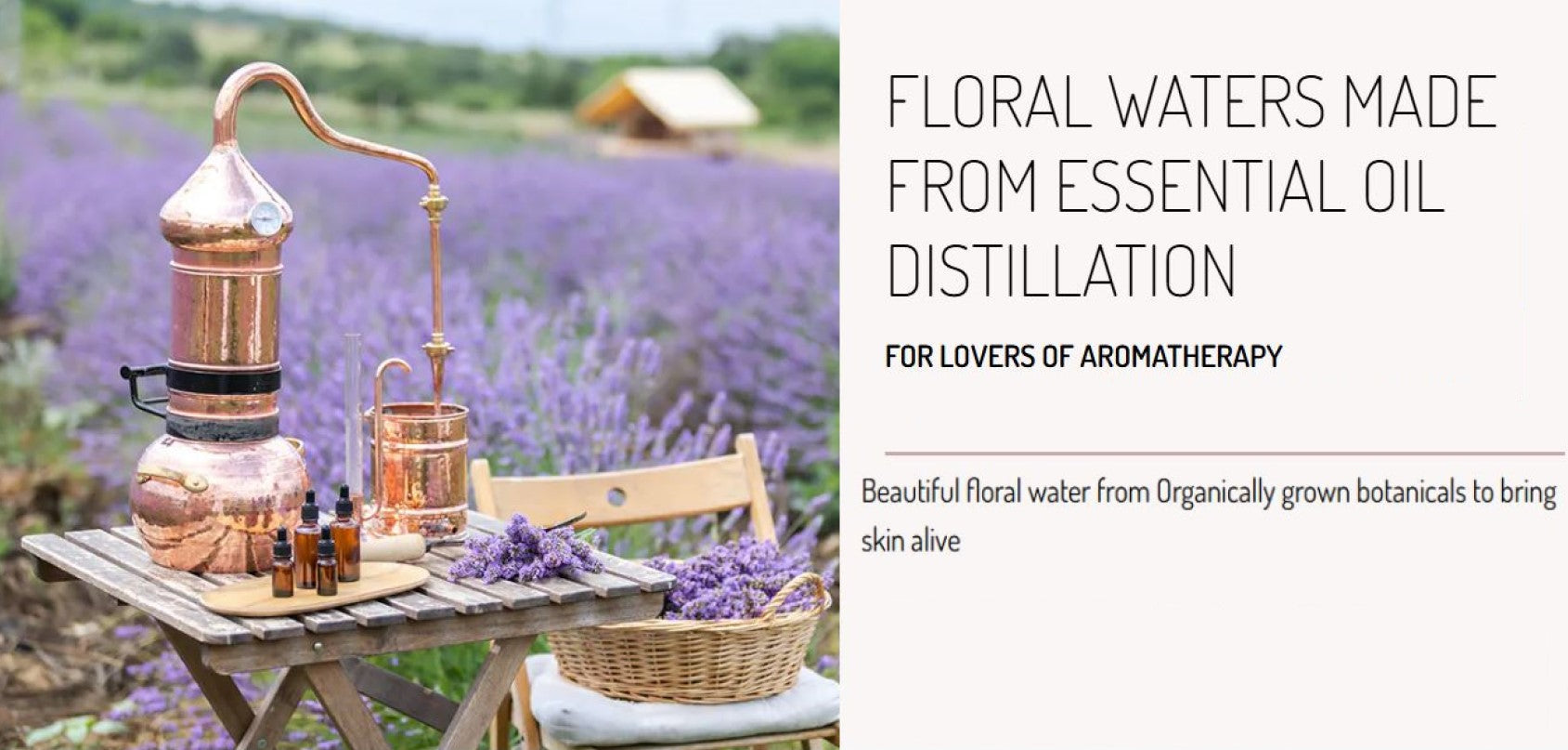 Tea Tree Floral Water - Problematic and Acne Prone Skin