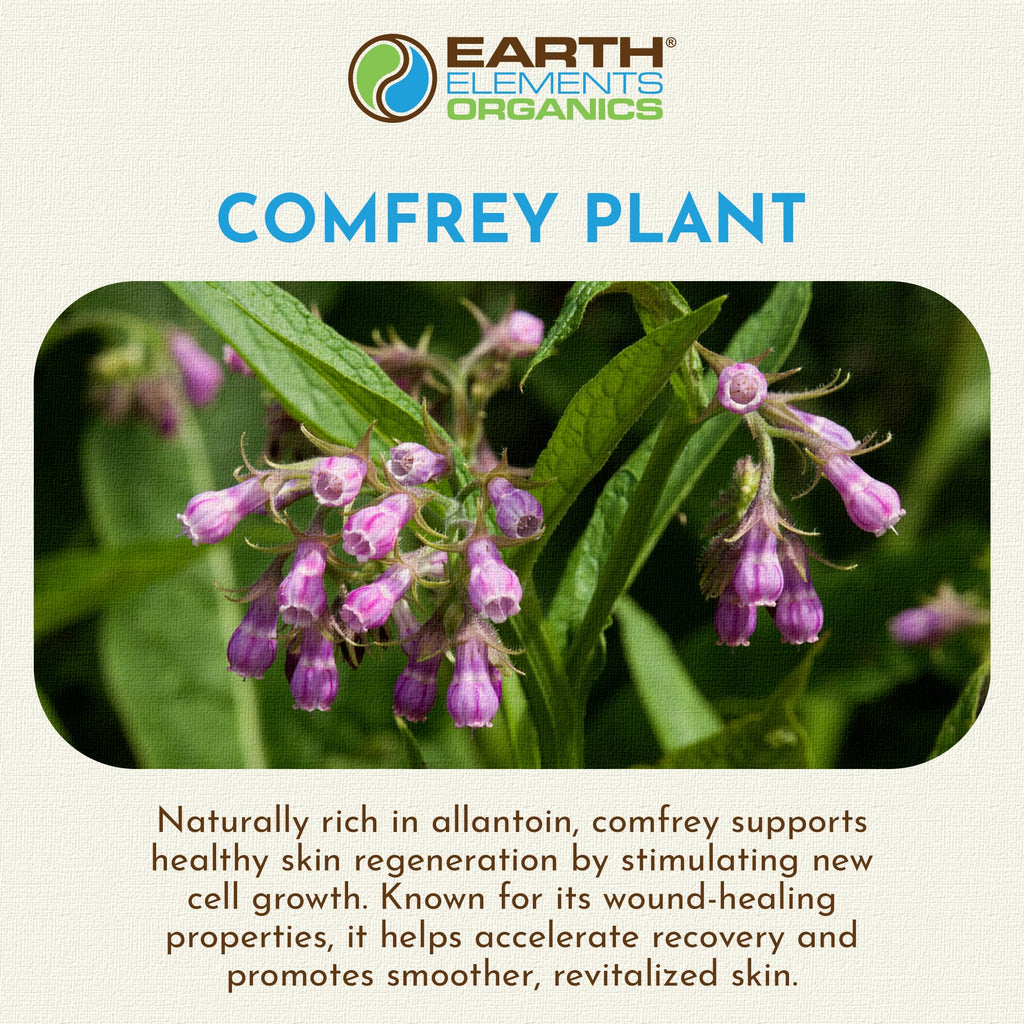 Earth Elements Organics Comfrey Oil – Organic Herbal Skincare, Sunflower Oil, 4 fl oz