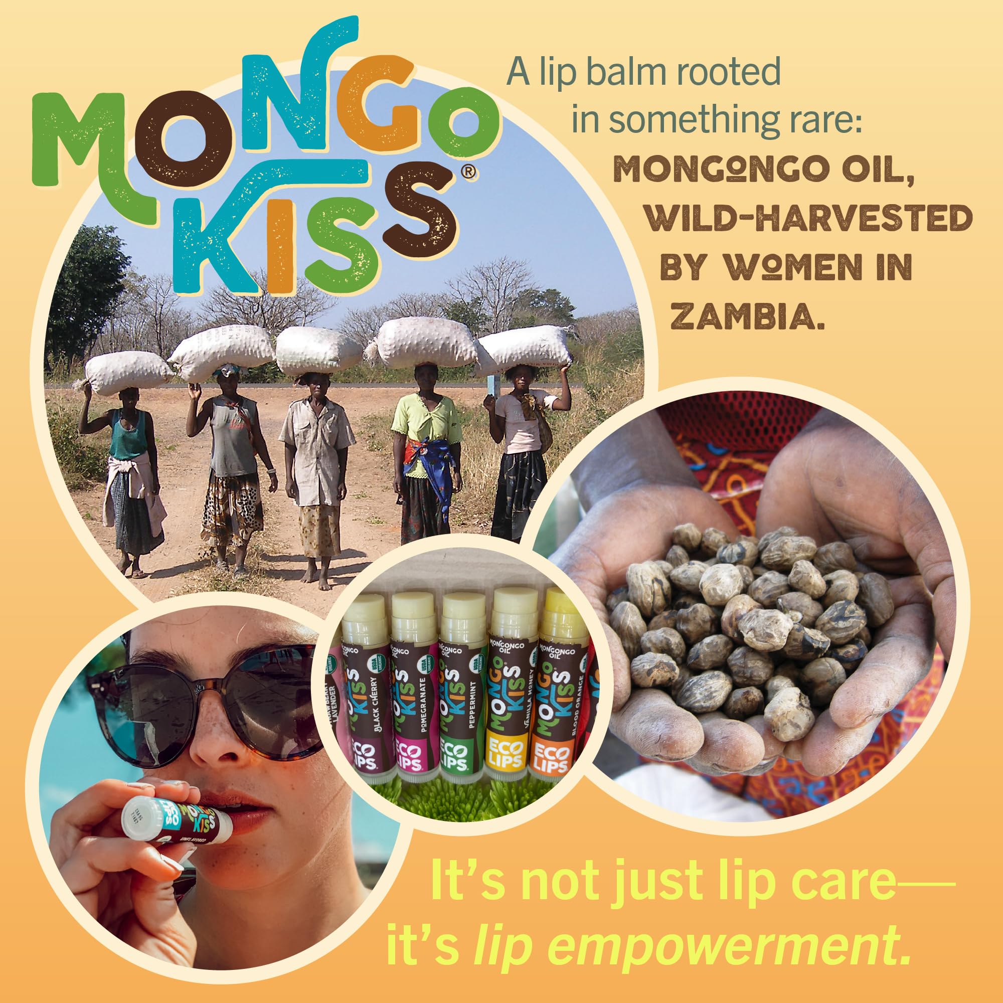 Eco Lips Mongo Kiss 6-Pack Lip Balm - 100% Organic Beeswax & Cocoa Butter with Mongongo Oil | Peppermint, Made in USA