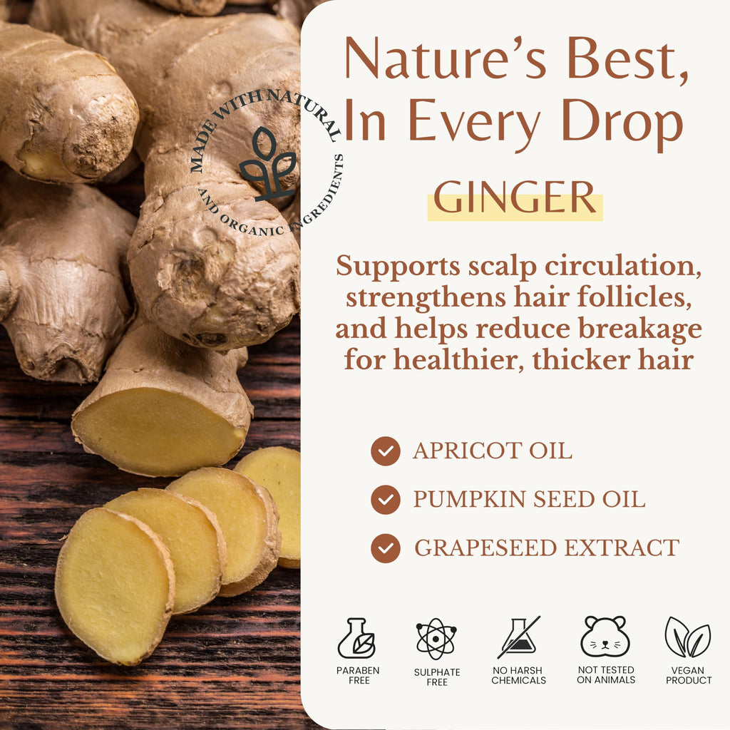 Edenika Botanicals Ginger Root Shampoo with Biotin – Fortifying, Nourishing, Paraben-Free, 16 oz
