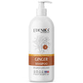 Edenika Botanicals Ginger Root Shampoo with Biotin – Fortifying, Nourishing, Paraben-Free, 16 oz