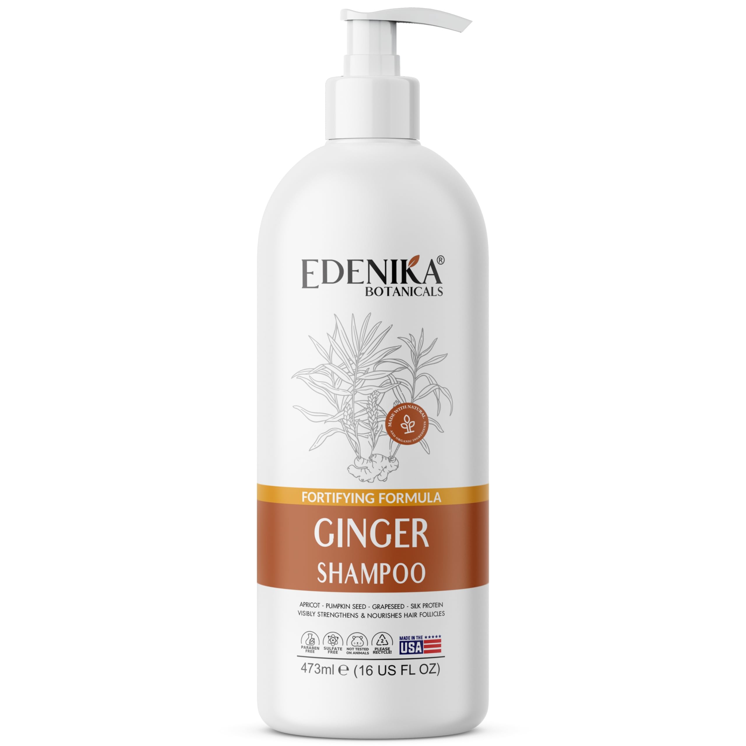 Edenika Botanicals Ginger Root Shampoo with Biotin – Fortifying, Nourishing, Paraben-Free, 16 oz
