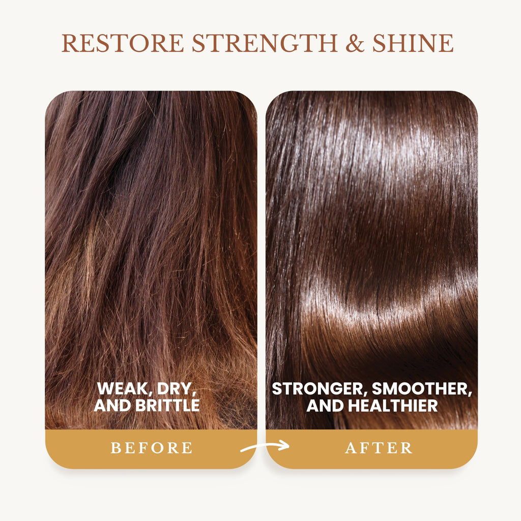 Edenika Botanicals Ginger Root Shampoo with Biotin – Fortifying, Nourishing, Paraben-Free, 16 oz