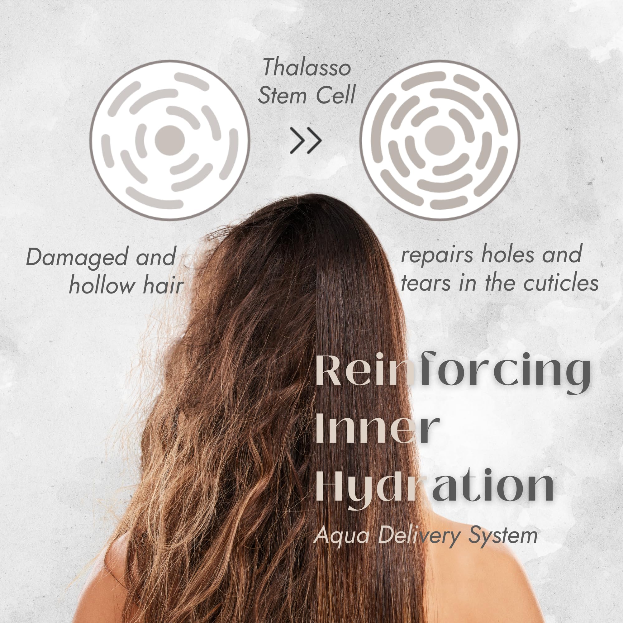 Eight the Thalasso Anti-Frizz Shampoo – Detangling, Ceramides & Stem Cells, 16.06 oz