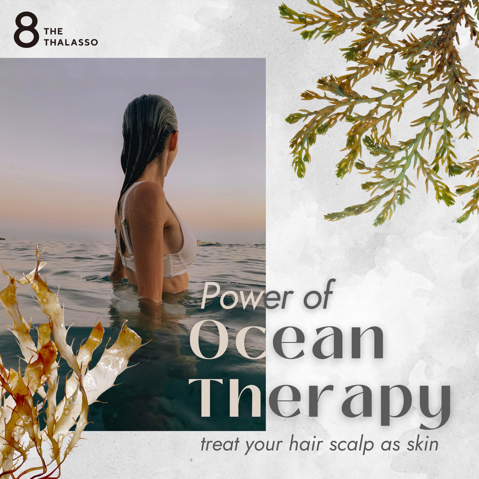 Eight the Thalasso Anti-Frizz Shampoo – Detangling, Ceramides & Stem Cells, 16.06 oz