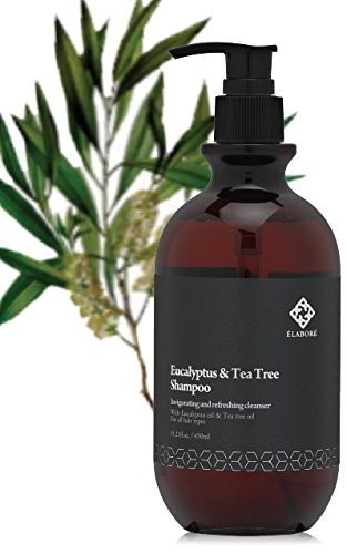 Elabore Eucalyptus & Tea Tree Shampoo & Treatment Set – 15.21 fl oz / 450 ml