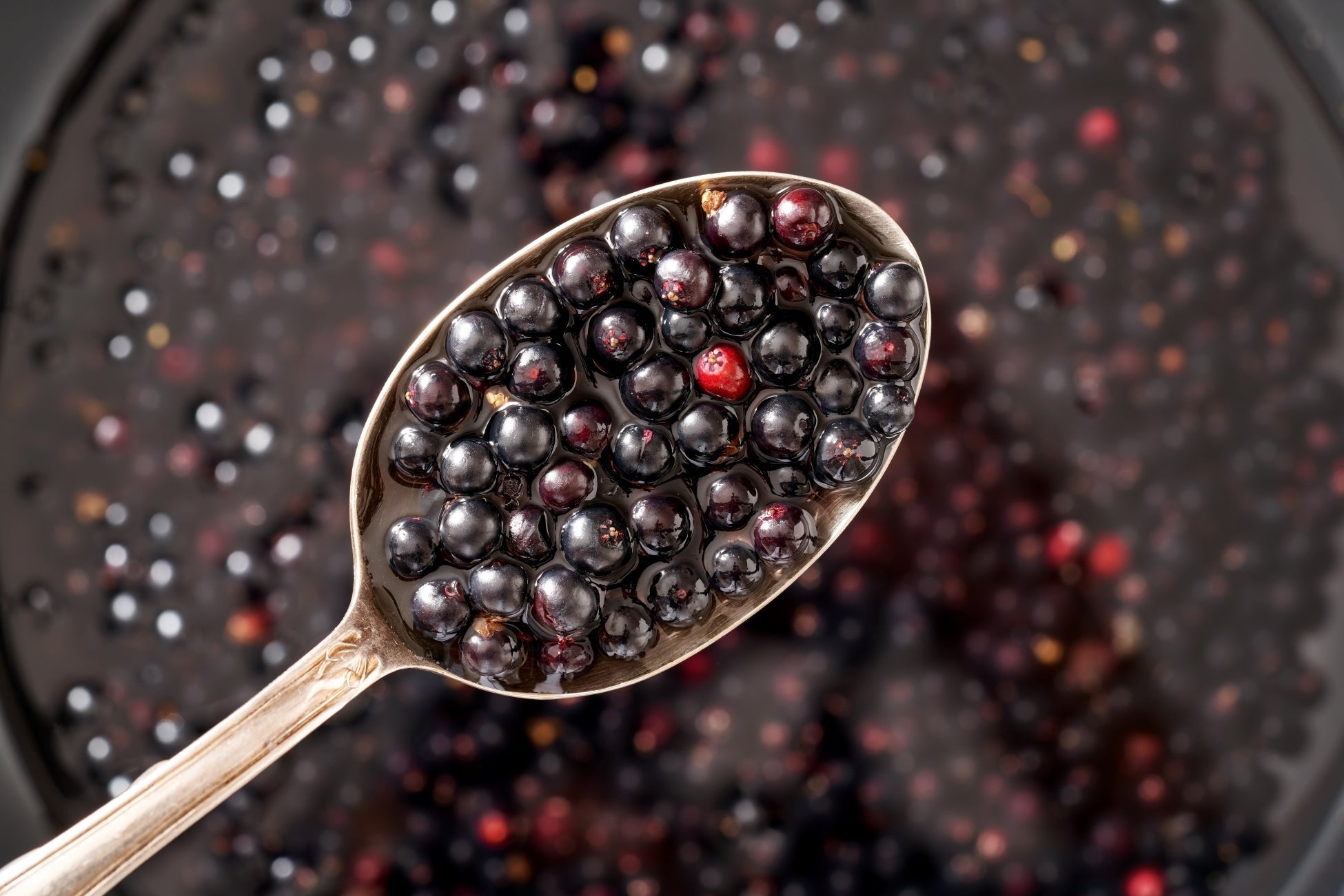 Angel's Elderberry Syrup with Organic Ingredients - Honey or Molasses(Vegan)